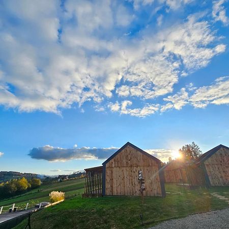 Chata W Bieszczadzie Apartamenty I Domki Z Sauna Bieszczady Polańczyk Εξωτερικό φωτογραφία